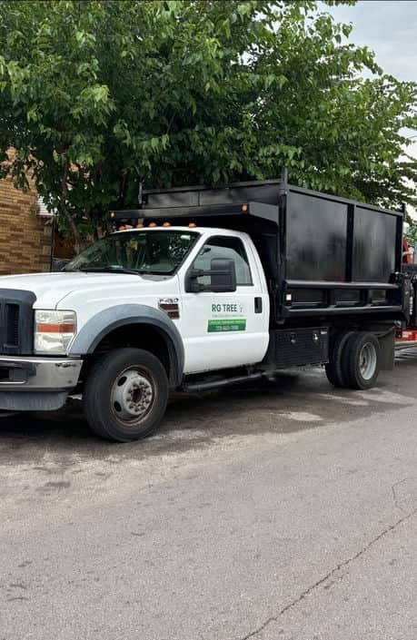 RG TREE team on a South Side Chicago property