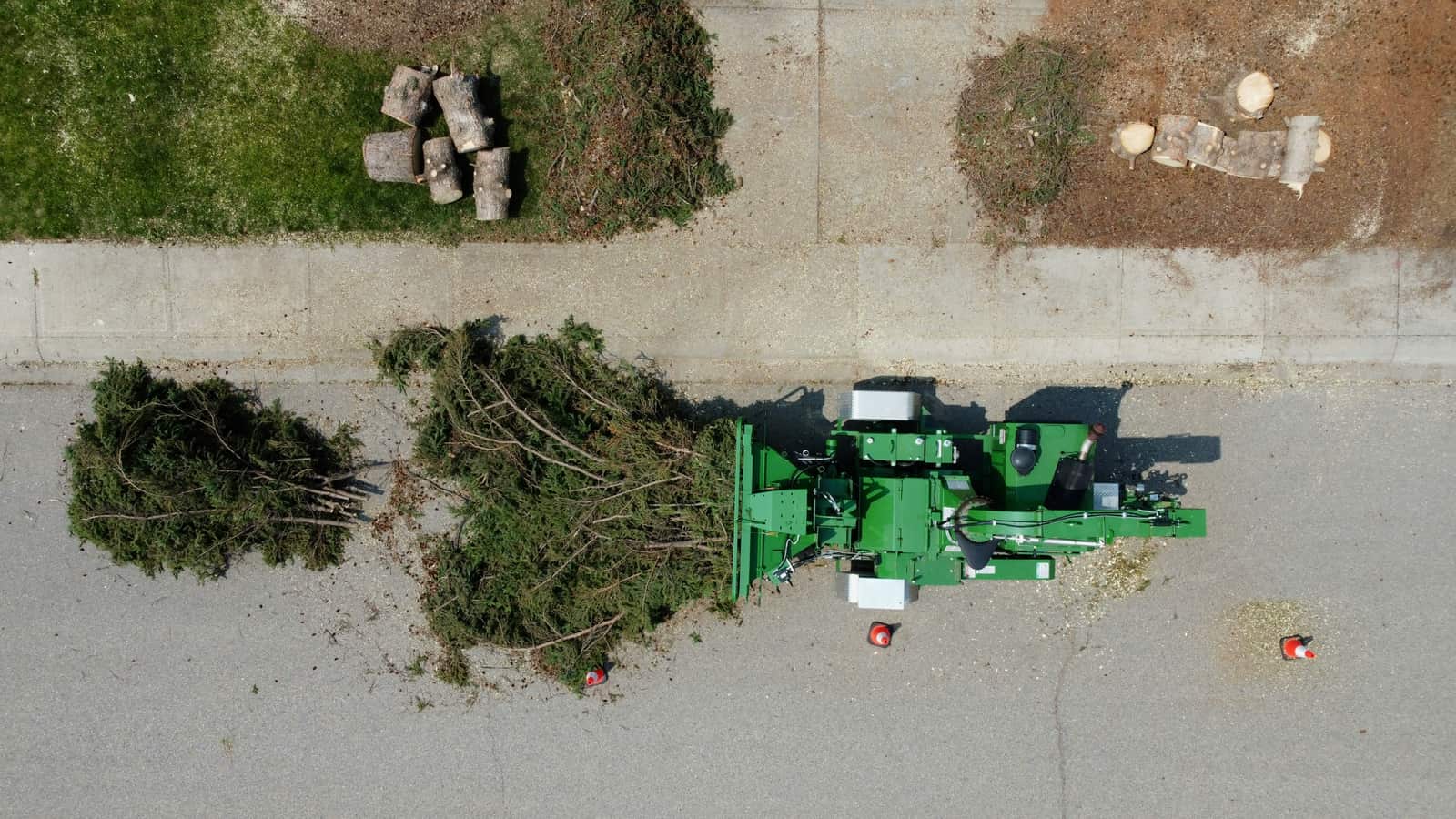 Completed tree work by RG TREE